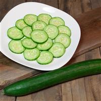 Cucumber