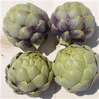 Artichoke